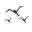 3 Piece Flock Wall Décor Set-1362729125