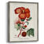 Reproduction encadrée Turpin Tropical Botanicals VII - bois massif-1851533799