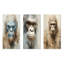 Portrait de Bigfoot-983887744-983887746
