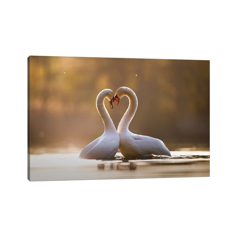 Love Is In The Air by Mateusz Piesiak - Wrapped Canvas Print, 20.32cm H x 30.48cm W x 1.905cm D