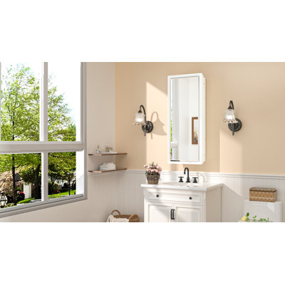 Cyrille Recessed & Surface Framed 1 Door Medicine Cabinet with Mirror and Shelves