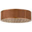 Gator 10 - Light Flush Mount