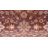 Oriental Indoor Rug