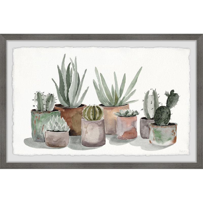 Pastel Succulent Vases by Parvez Taj - Single Picture Frame Painting, 61cmH x 91cmW