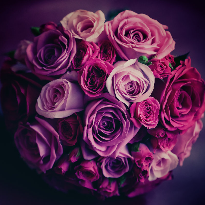 Perrodin Wedding Flowers - Wrapped Canvas Print, 76cm H x 76cm W 3.8cm D