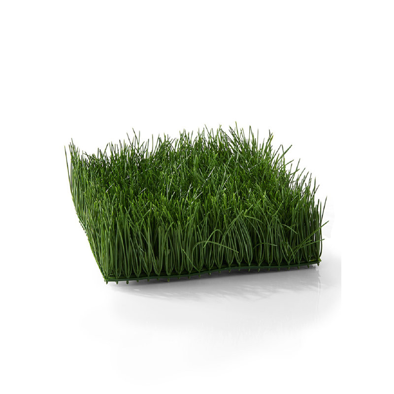 Herbe de sol en blé artificiel
