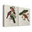 ElegantTrogonsV-Premium Gallery Wrapped Canvas -Ready to Hang