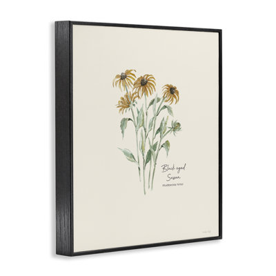 Black Eyed Susans Art by Cindy Jacobs bg-133