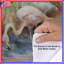 Flamants roses dans une housse de couette-125235154