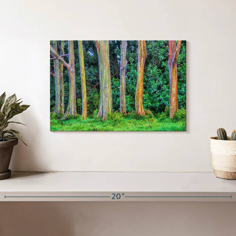 " Eucalyptus Rainbow Trees ", 8" H x 12" W x 1" D