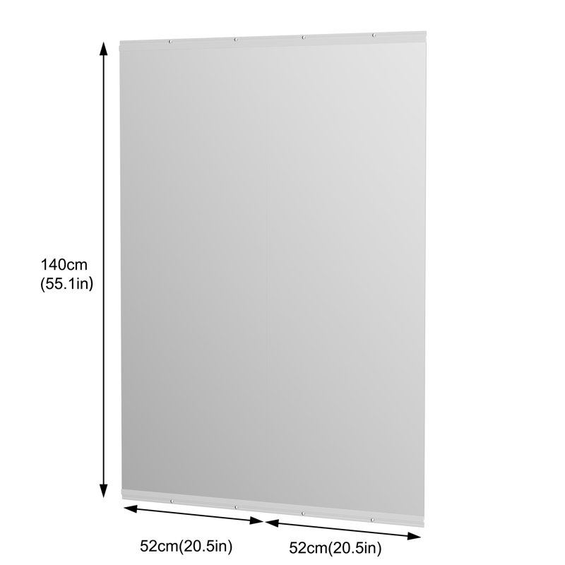 Ebern Designs Full Length Rectangle Wall Mirror Home Gym Mirror Dance Studio Mirror Tempered Glass Mirror, 55" x 21"