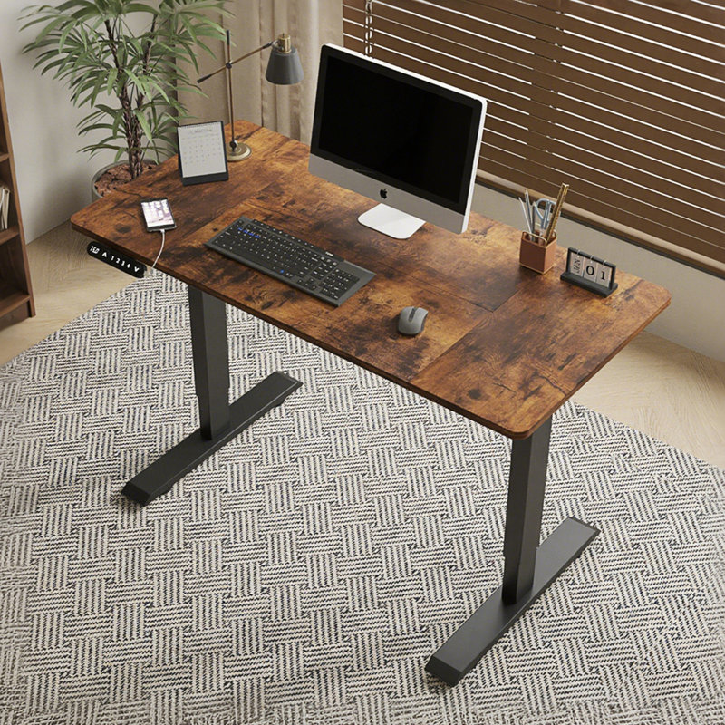 Bureau debout électrique avec réglage de la hauteur, table d'ordinateur de luxe moderne, table d'écriture