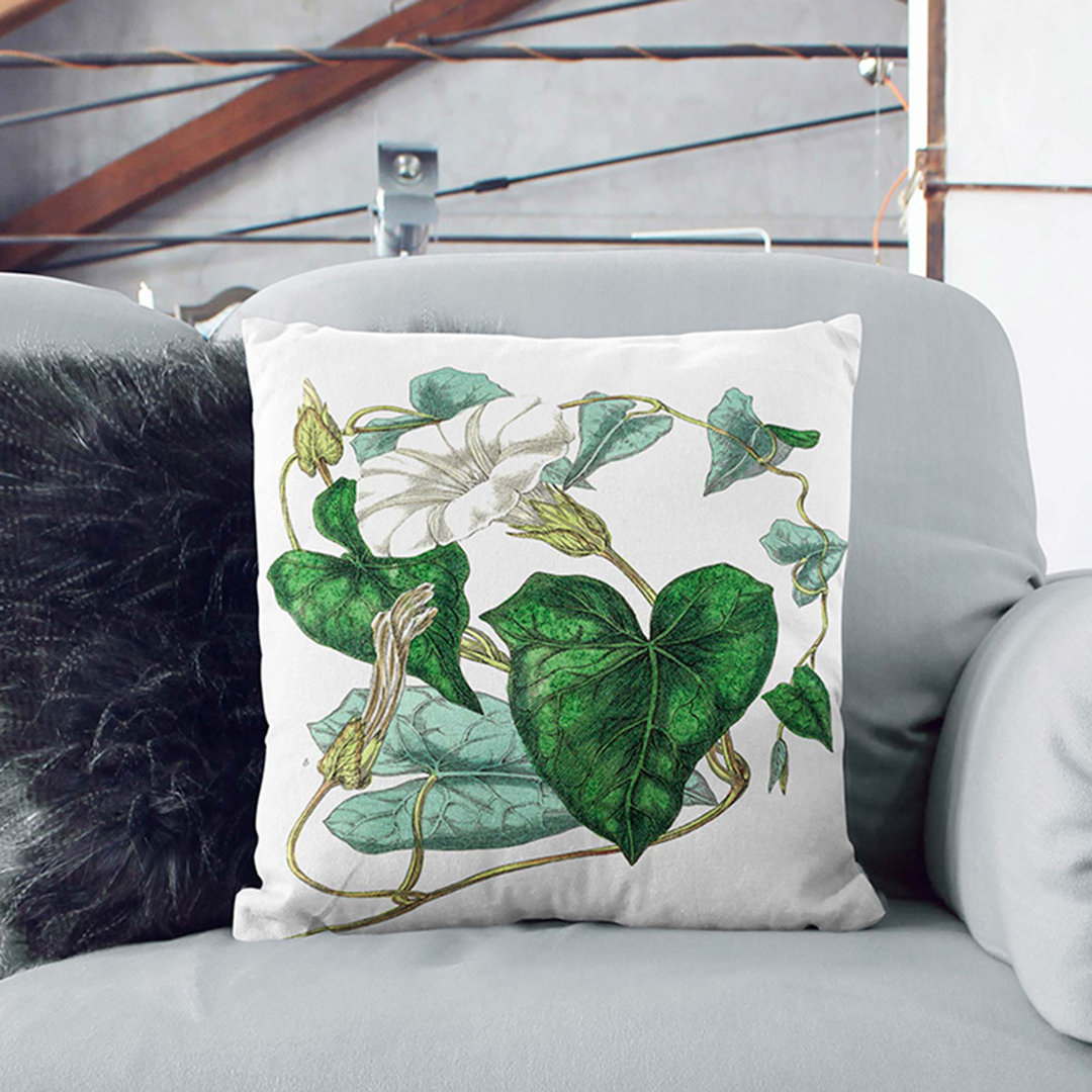 Bindweed Illustration Cushion with Filling