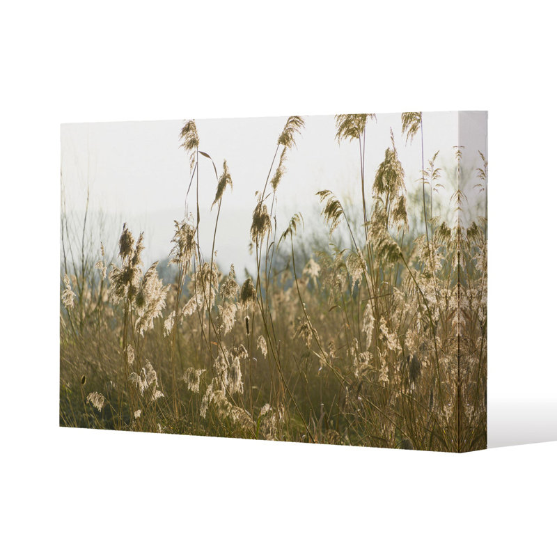 plumes Slimbridge Slim Style Canvas Print, 15mm Slim Real wood., 20 cm H x 30 cm W