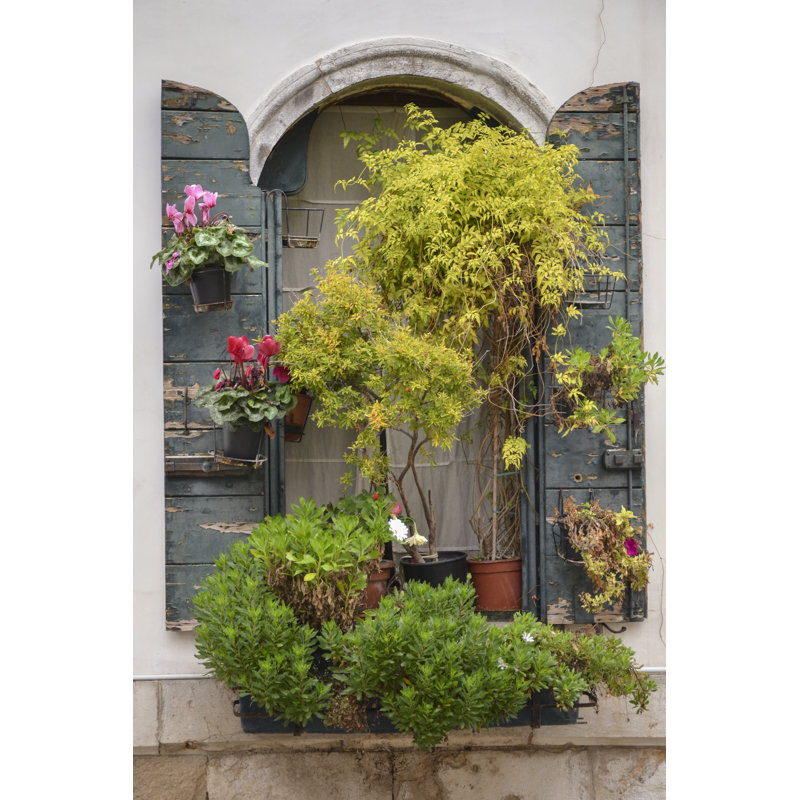 Italian Window Flowers IV by Laura DeNardo - Wrapped Canvas Print, 91cm H x 61cm W