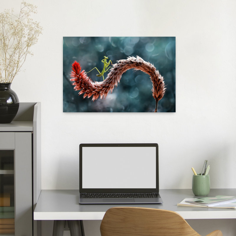 Mante religieuse sur plante courbée - Illustration murale contemporaine délicate et sereine représentant un animal et une fleur