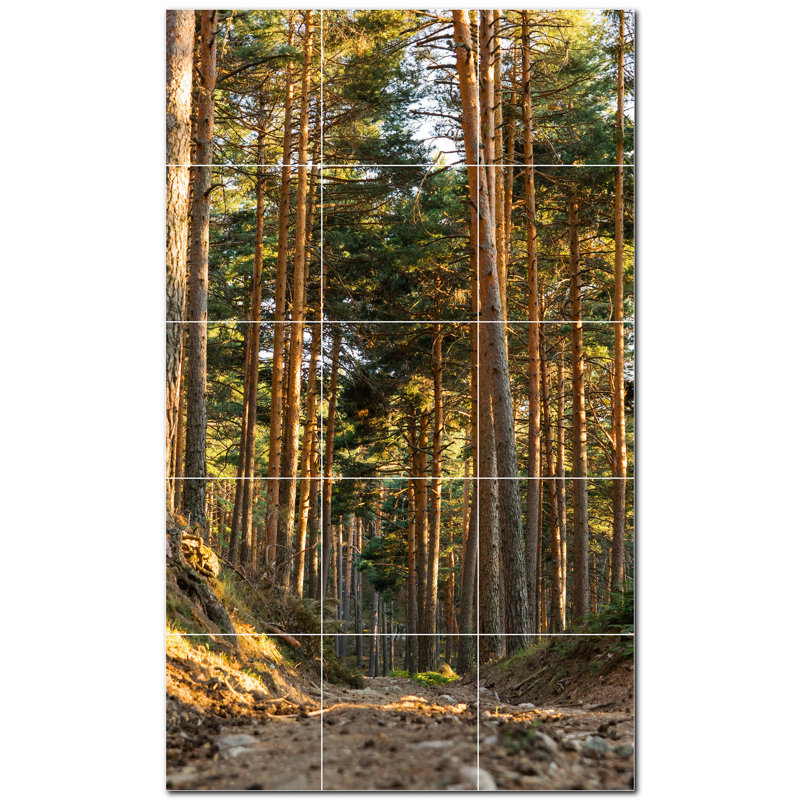 Photo d'automne 8 x 8