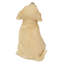 Chiot Labrador jaune