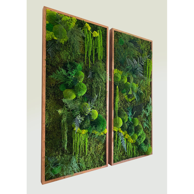 Art mural Symbiotikwalls Moss. Mur de mousse. Moss Art Panels. Art mural vert , H 26 po x l 12 po x P 2 po