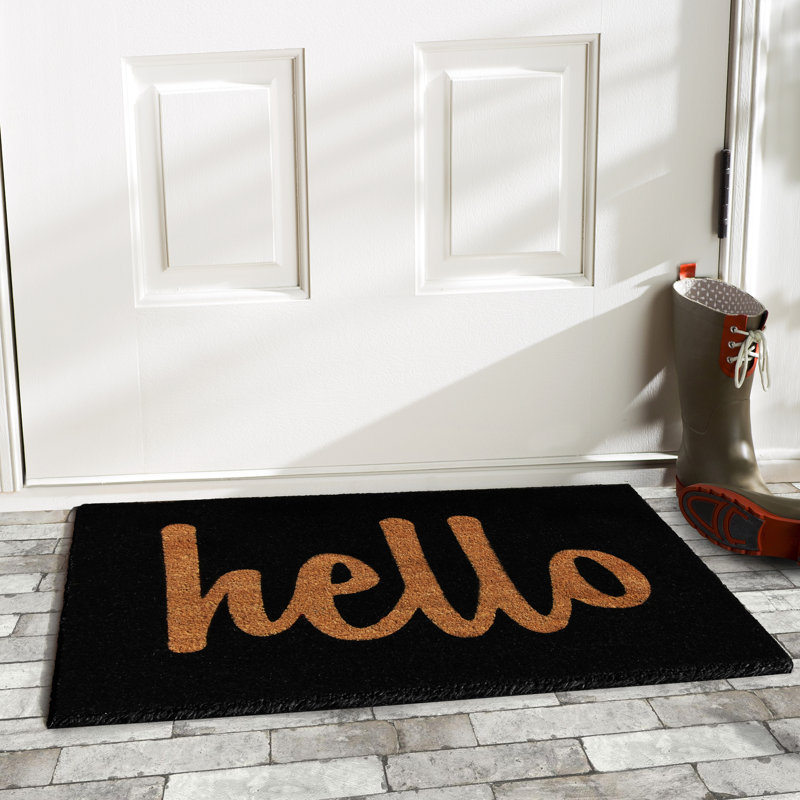 Carlaysia Non-Slip Outdoor Doormat, Rectangle 2' x 3', Black