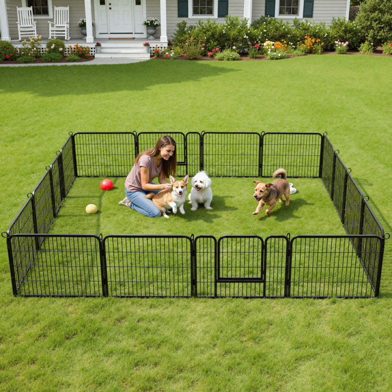 Enclos pour animaux d'exercice en métal avec portes (ensemble de 6), H 24 po