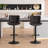 Denan Swivel Adjustable Height Bar Stool-676660232