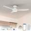 Ventilateur de plafond intelligent de 52 pouces avec moteur à courant continu, lumière DEL et télécommande-132059849