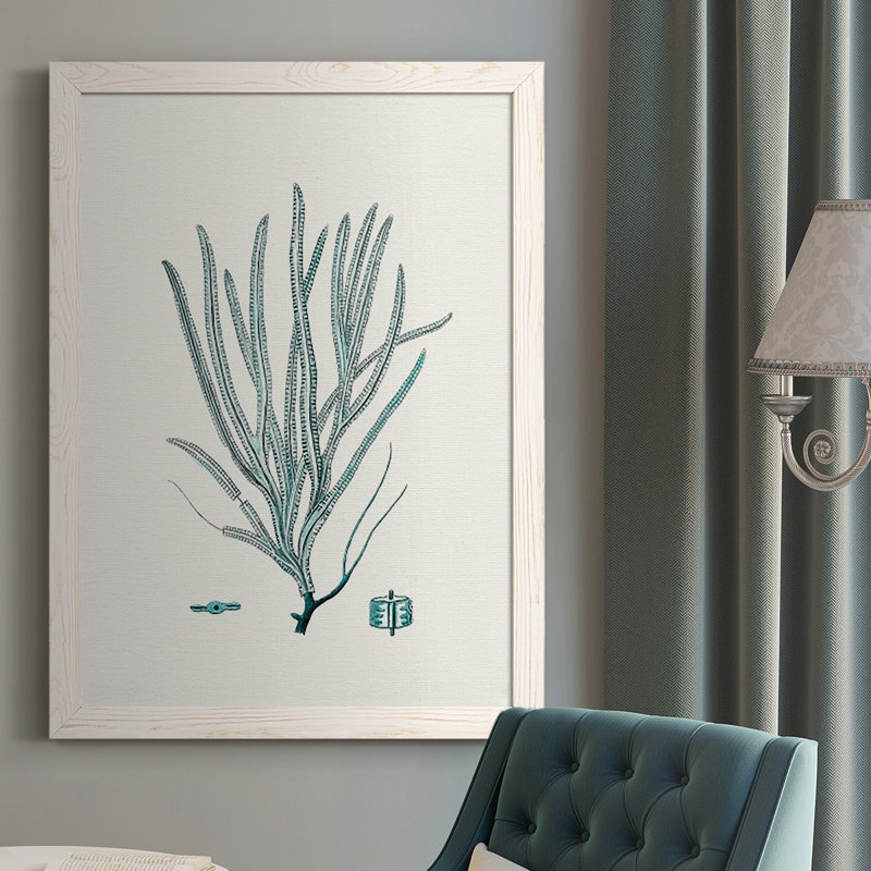 Heffron Antique Coastal Coral VII, reproduction d'art sur toile, H 37,5 po x l 27,5 po x P 1 po, Blanc