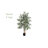 Faux Bamboo Tree in Pot-472453567