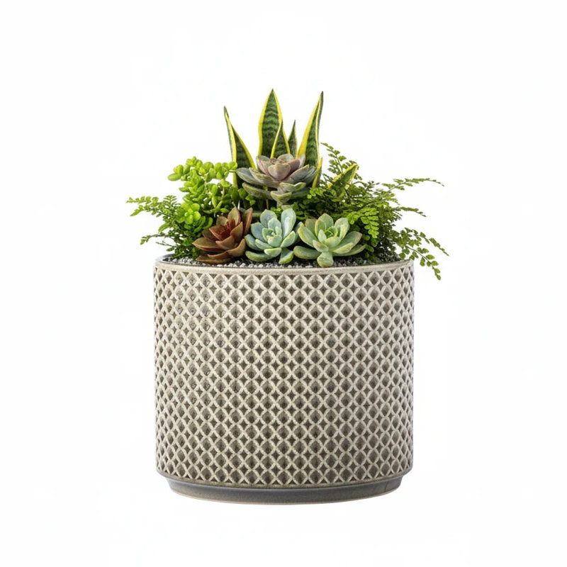 Amariyah Ceramic Pot Planter