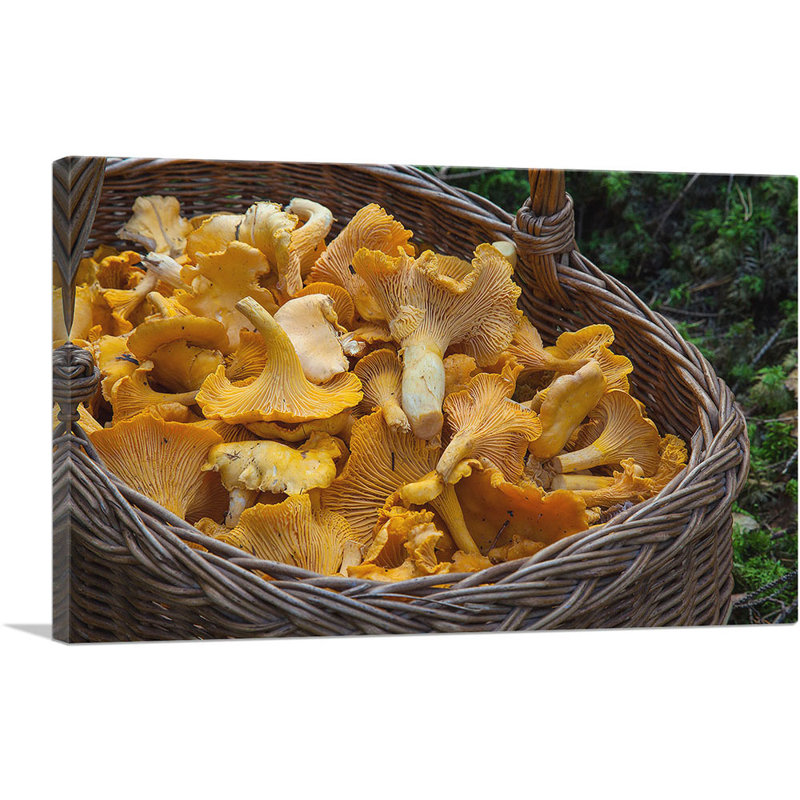 Chanterelle Champignons restaurant - reproduction de photo sur toile tendue, H 12 po x l 18 po x P 0,75 po