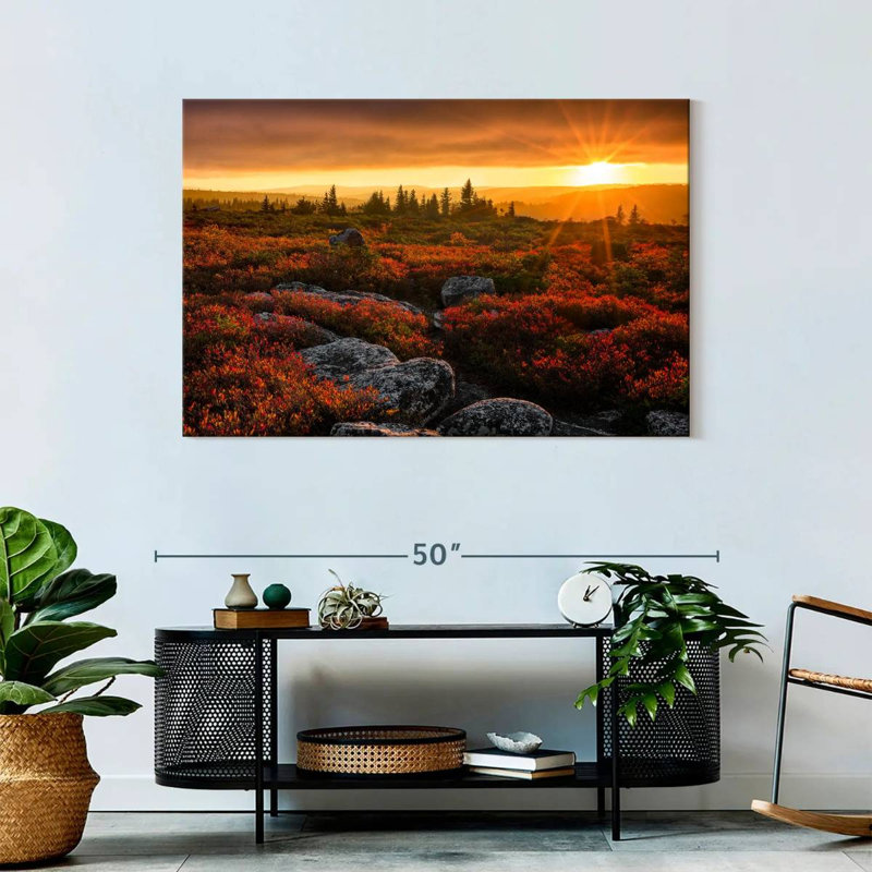 Alvord Dolly Sods Sunset, H 30 po x l 45 po