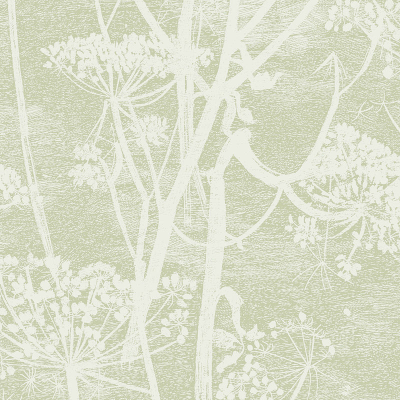 Cow Parsley Floral Wallpaper Roll, Olive