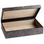 Puma Decorative Box-1723834970