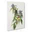 Connecticut Warbler Birds by John James Audubon - Wrapped Canvas-55371003