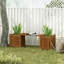 Support pour plante Rondale