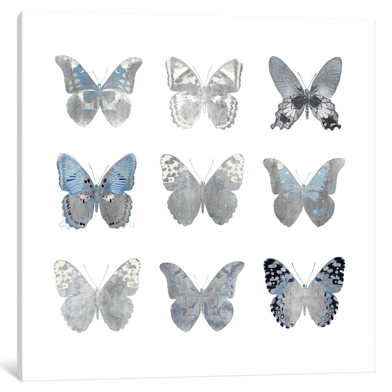 « papillon study ii », reproduction d’art sur toile, H 12 po x l 12 po x P 0,75 po