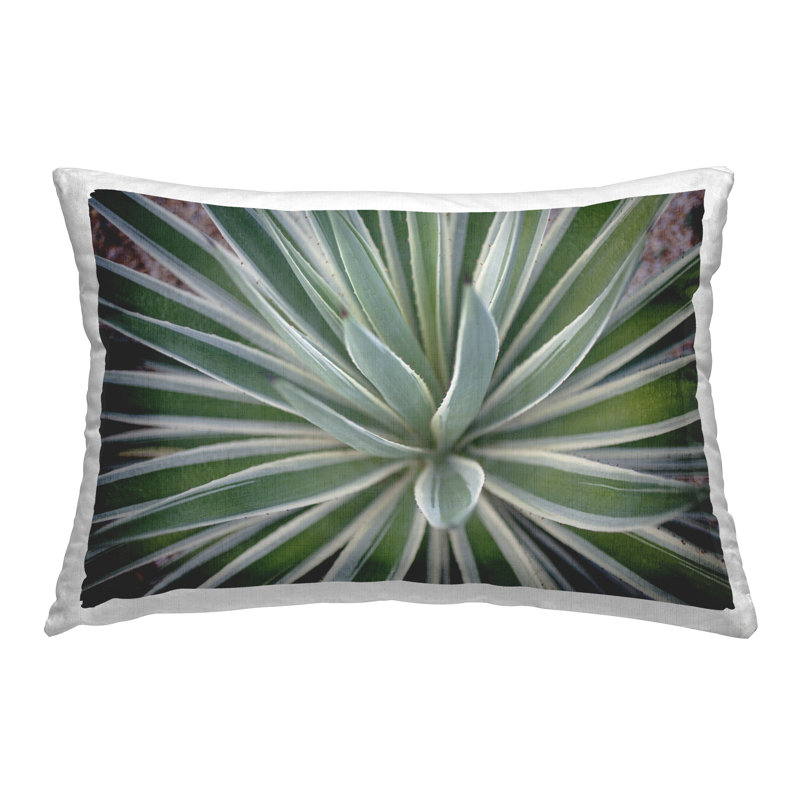 Coussin Centric Succulent Leaves