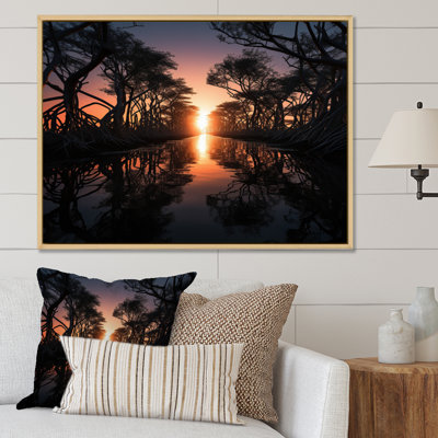 " Florida Mangrove Shadows "