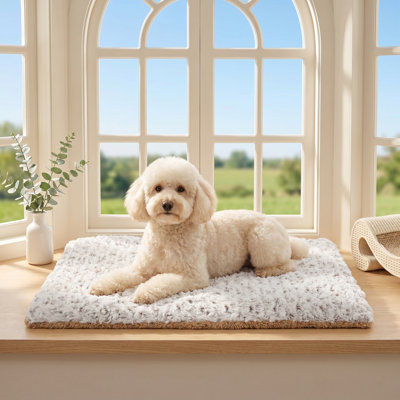 Self-Warming Cat Bed, Double-Sided Heated Dog Mat Thermal Blanket for Large Kittens & Small Puppies, 30" x 21"