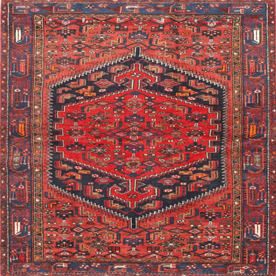 Oriental Indoor Rug