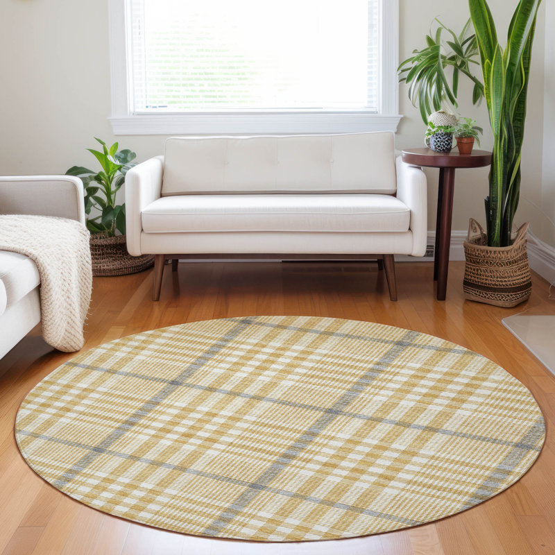 Machine Washable Indoor/Outdoor Chayden ACN1054 Rug, Round 8'