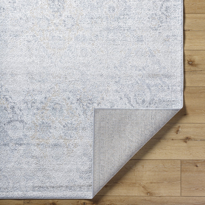 Reagyn Oriental Area Rug, Rectangle 60 x 90cm