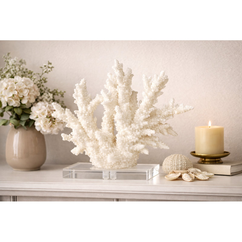 White Coral On Acrylic Base