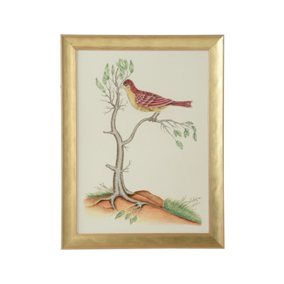 Watercolor Birds D