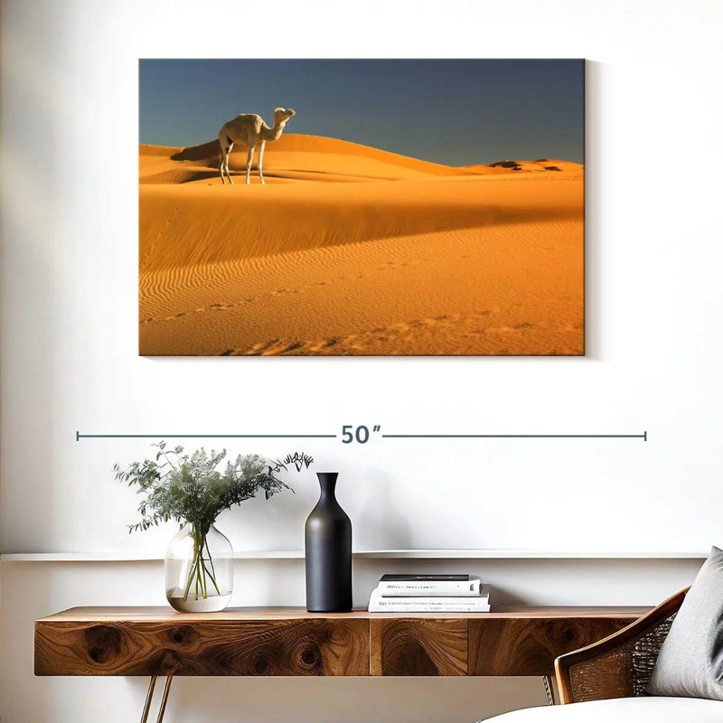 Chameau du désert d'Alvord Sahara