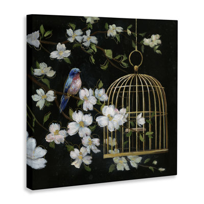 Evening Song Birdcage over Black Canvas, design by Nan