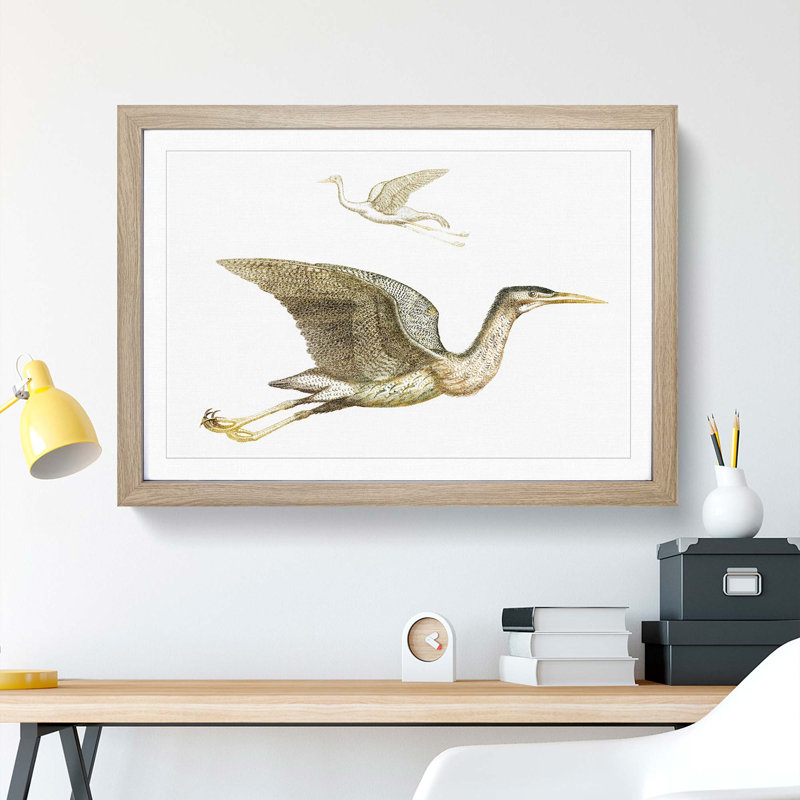 Crane & Bittern by Johan Teyler - Picture Frame Painting Print, Oak Framed, 36cm H x 48cm W x 2cm D