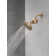 Clarifi Standard Shower Filter Attachment with Filter