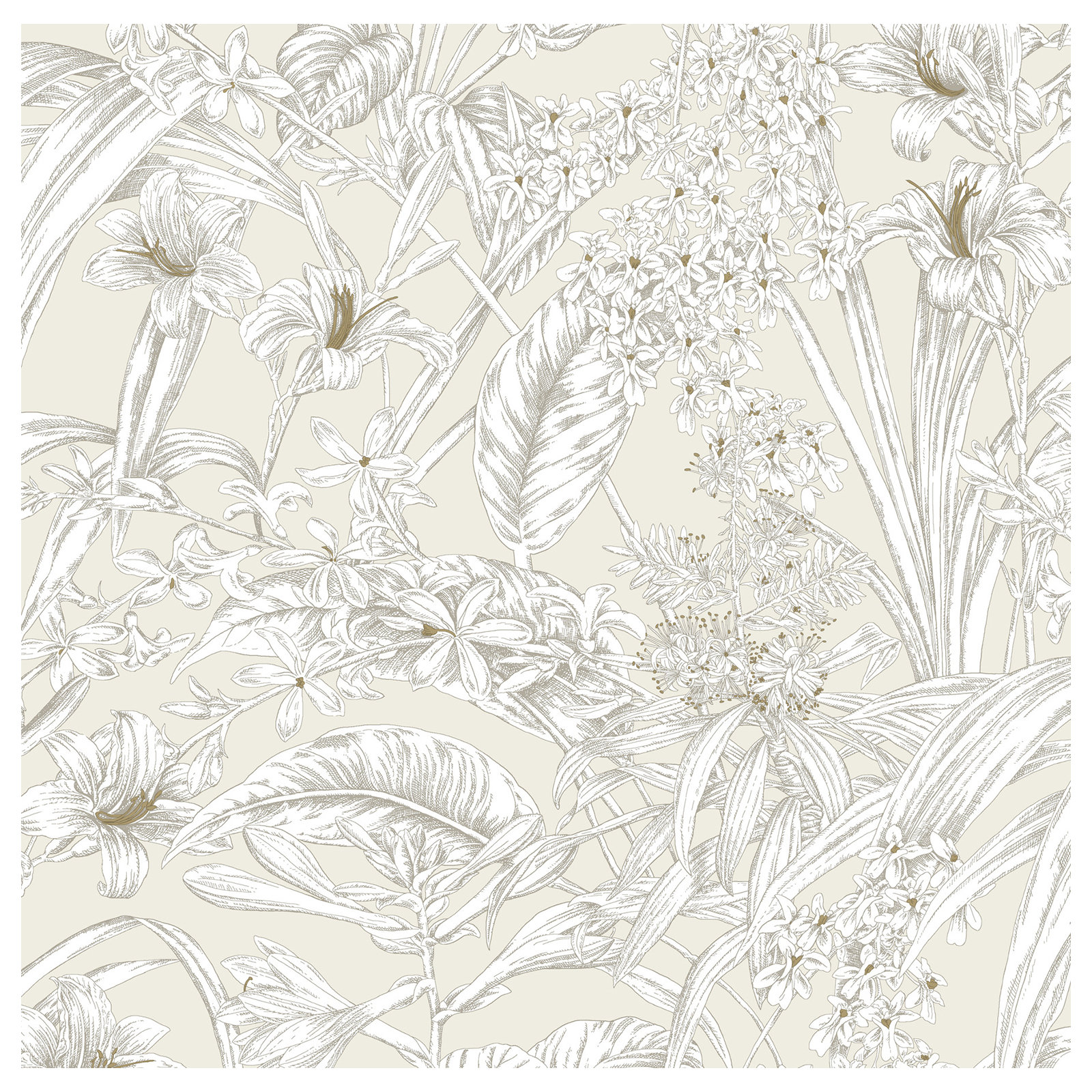 Conservatory Toile Floral,Solids Wallpaper, Beige & Taupe